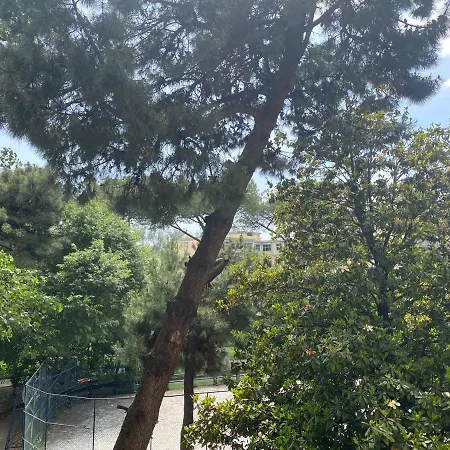 בית הארחה Oasi Verde